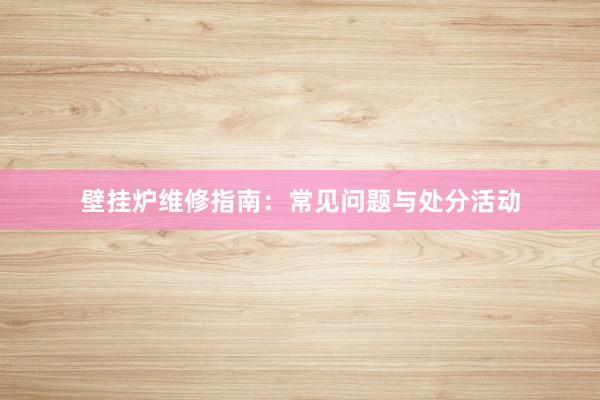 壁挂炉维修指南：常见问题与处分活动